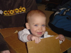 Who needs toys?  I'll just play in the box!