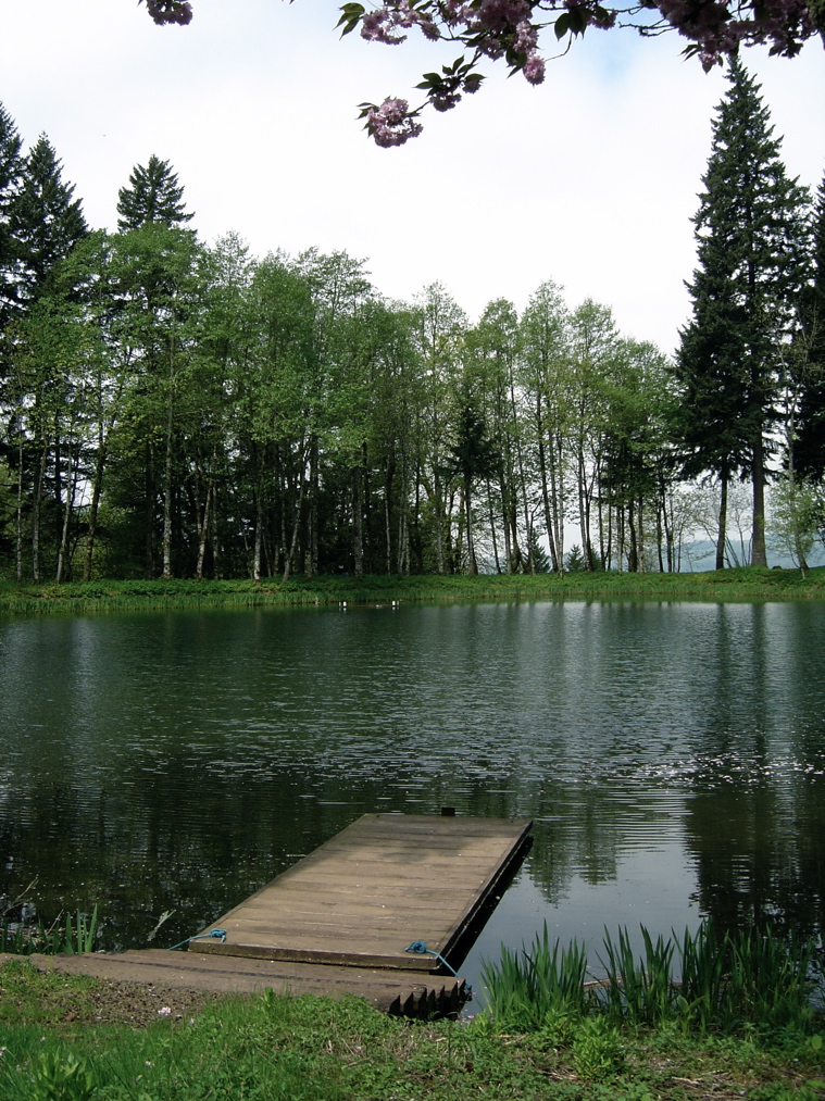 Bridal Veil Lakes - 21